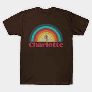 Charlotte- vintage rainbow washed style T-Shirt